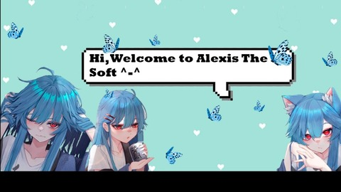 alexissoft photo 1