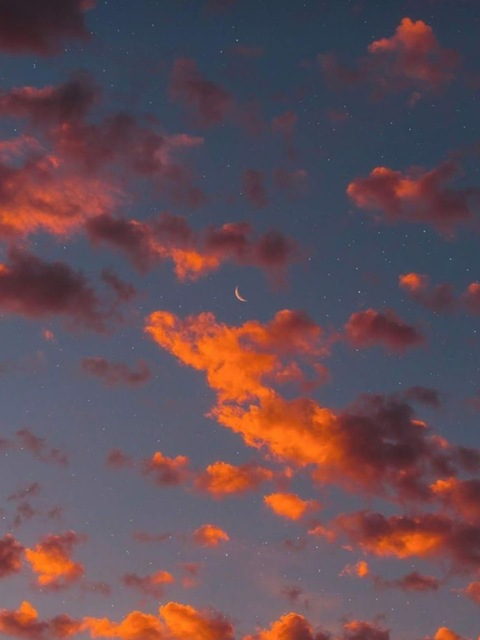 champagnemaryjane photo 1