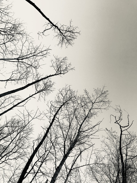 coupledchaos photo 1