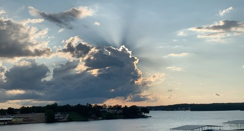 gard.en_ofeden photo 1