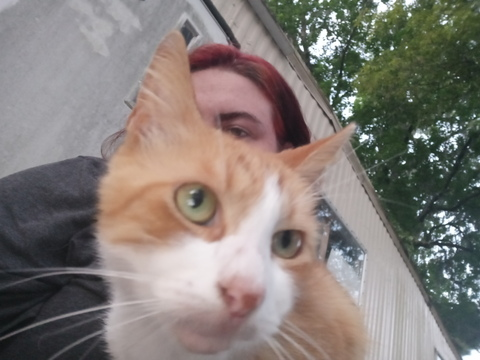 kittiekitten photo 1