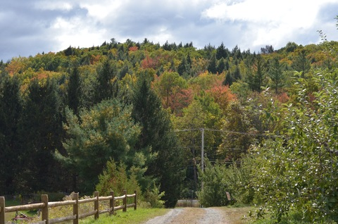 luxindarkness photo 1