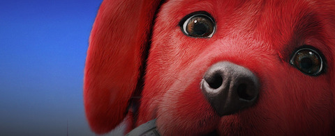 marszelovich photo 1