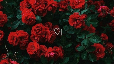 phantomblxdes photo 1